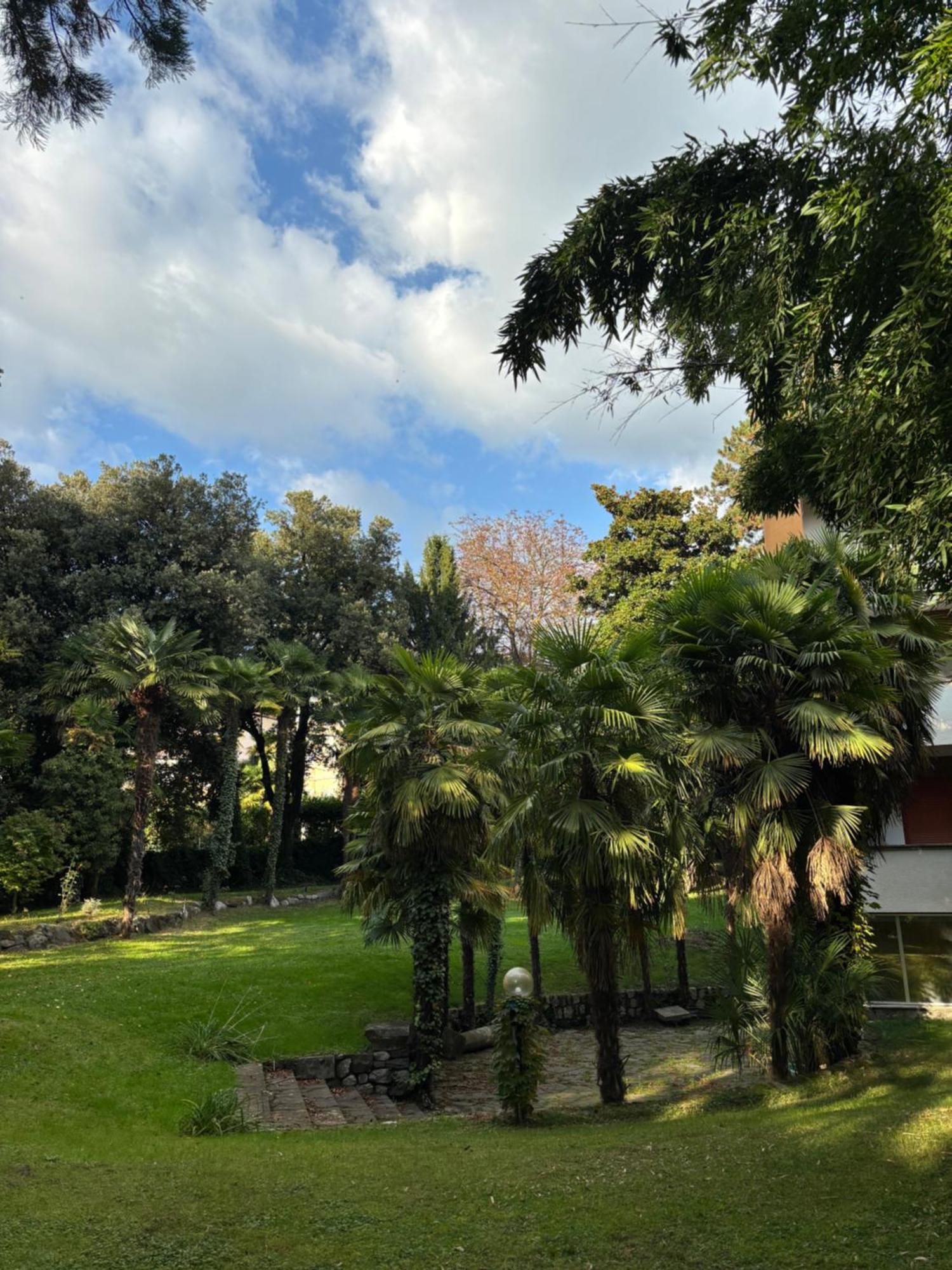 Central Palm Studio With Free Parking Meran Exterior foto