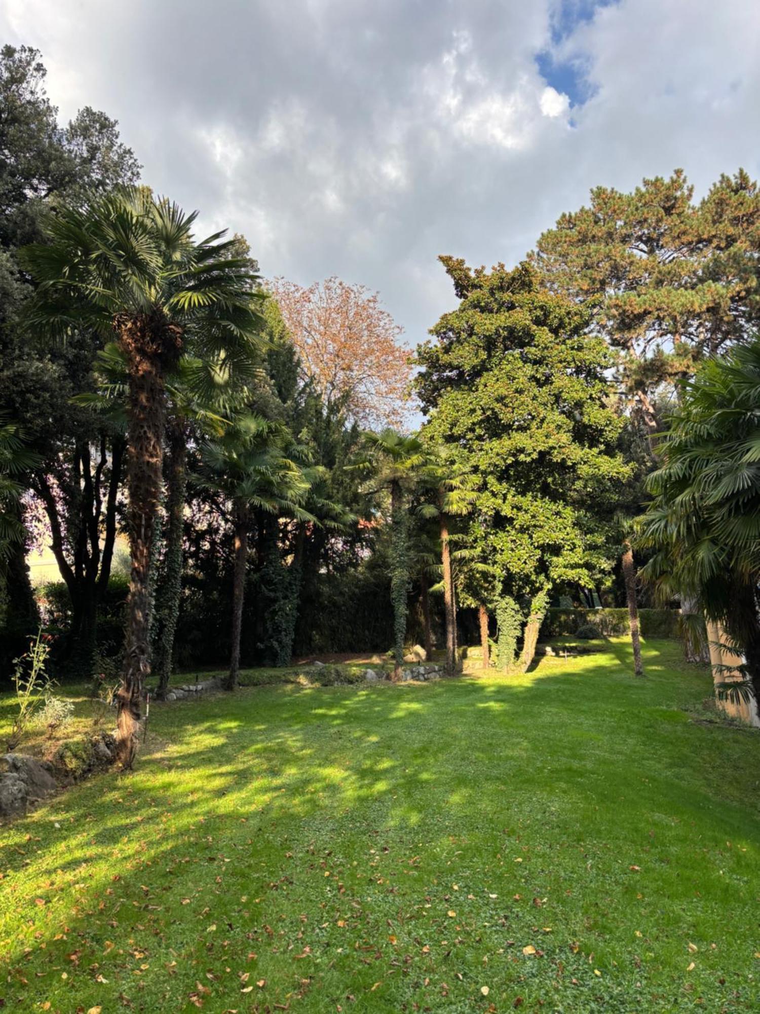 Central Palm Studio With Free Parking Meran Exterior foto